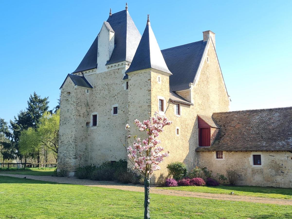 Manoir De La Beuneche - Location Du Manoir Entier Roeze-sur-Sarthe Exterior foto