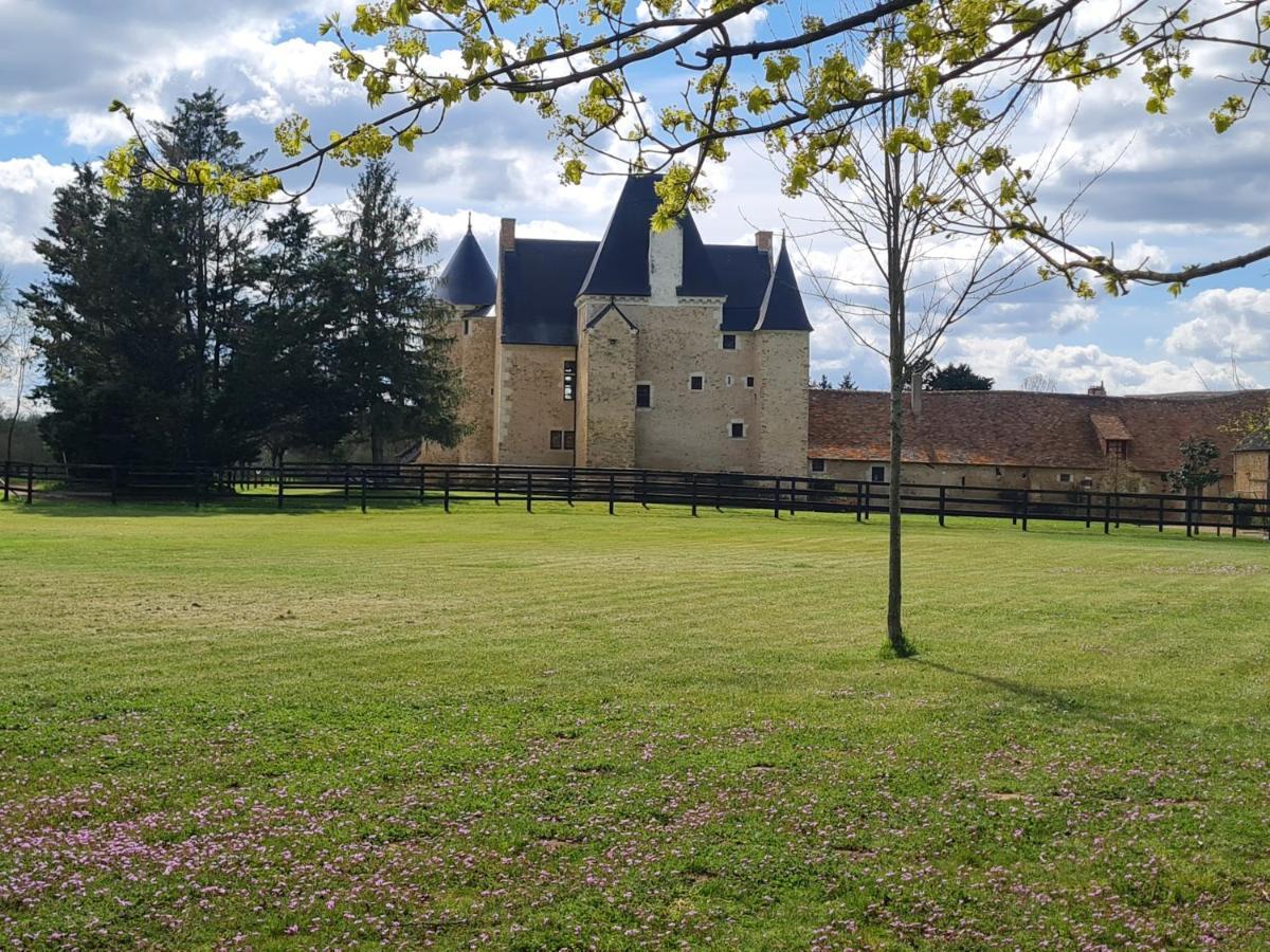 Manoir De La Beuneche - Location Du Manoir Entier Roeze-sur-Sarthe Exterior foto